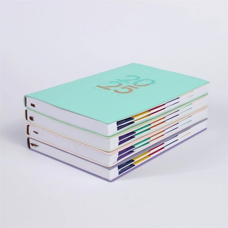 Journal Writing Diary
